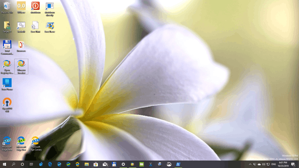 Tematski paket Windows 10 Flora 4 04
