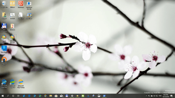 Balenie Themepack pre Windows 10 Flora 4 05