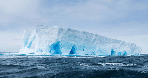 ناشيونال جيوغرافيك أنتاركتيكا بريميوم