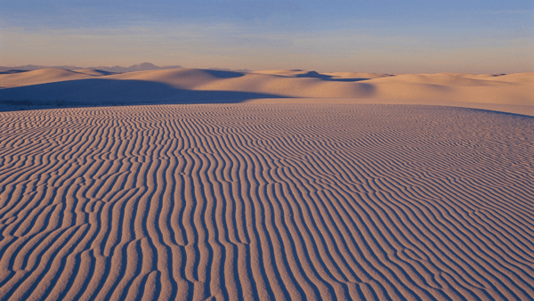 Desert Beauty PREMIUM Themenpaket