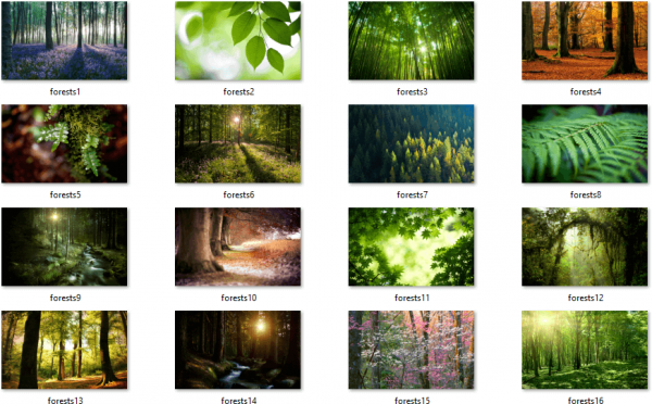 Forêts Themepack