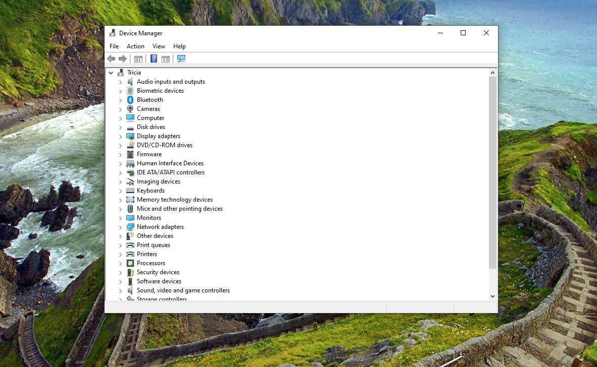 Skærmbillede af Enhedshåndtering i Windows 10