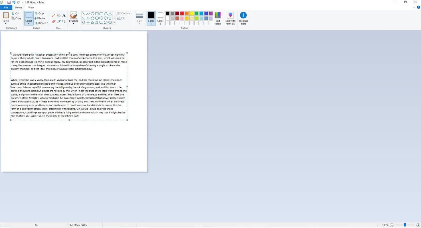 Snímka obrazovky prilepeného textu v programe Paint