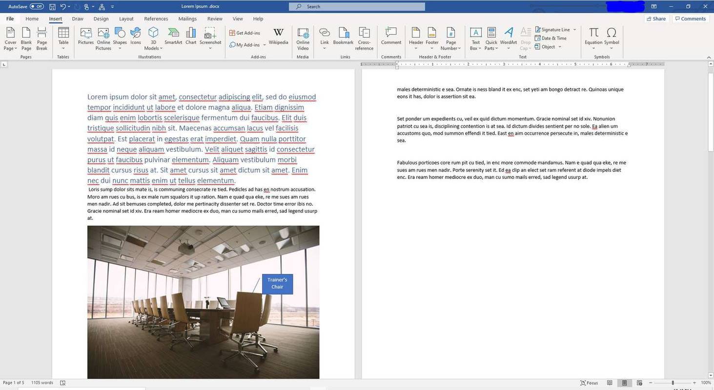 Snímek obrazovky vloženého dokumentu ve Wordu