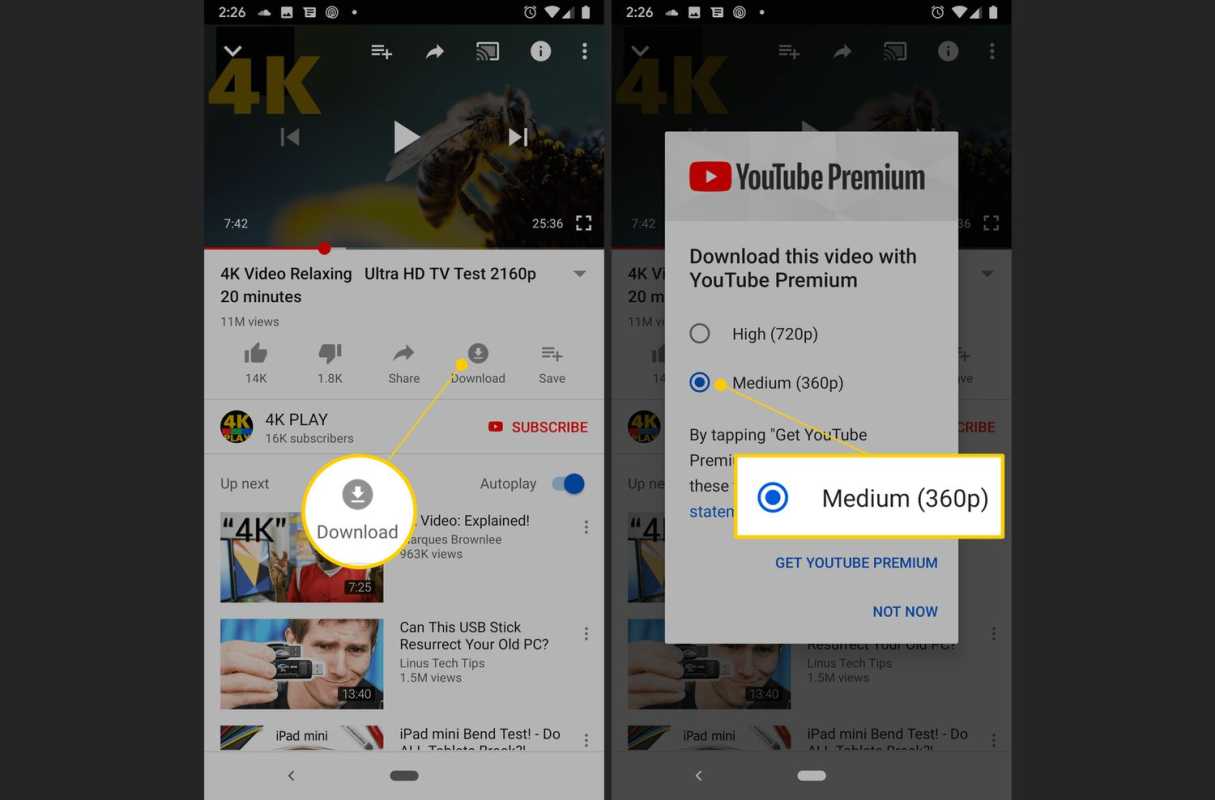 Android YouTube 앱의 다운로드 및 매체(360p) 버튼