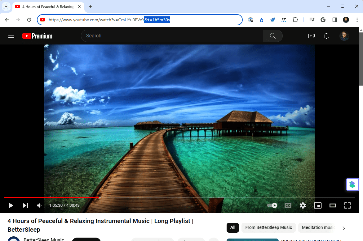 Webová adresa videa YouTube s pripojenou časovou pečiatkou