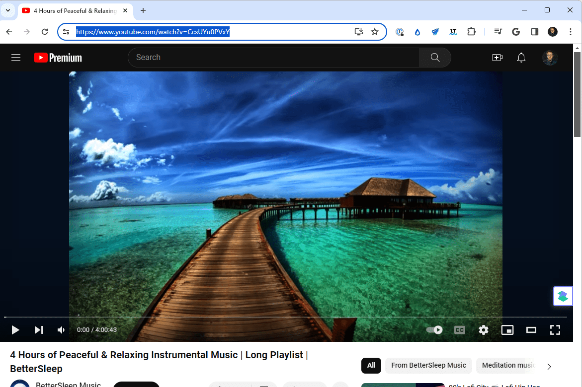 Adresa URL videa YouTube zvýrazněná v prohlížeči na počítači
